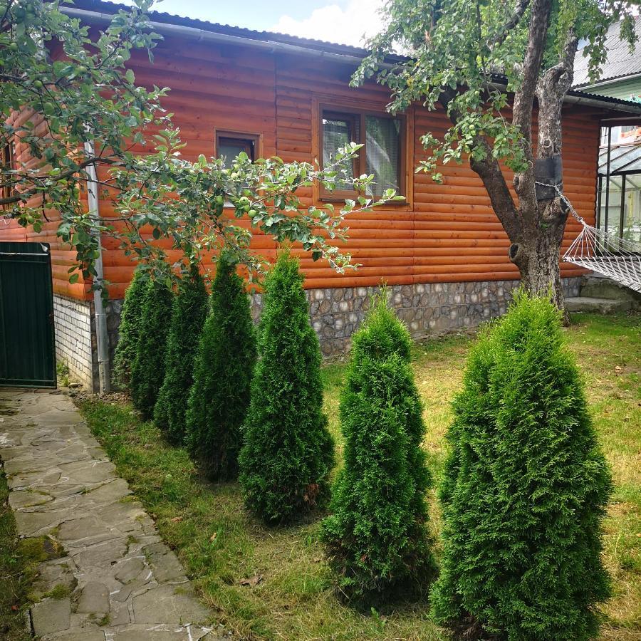 Kotiedzh u Mariny Villa Yaremche Bagian luar foto