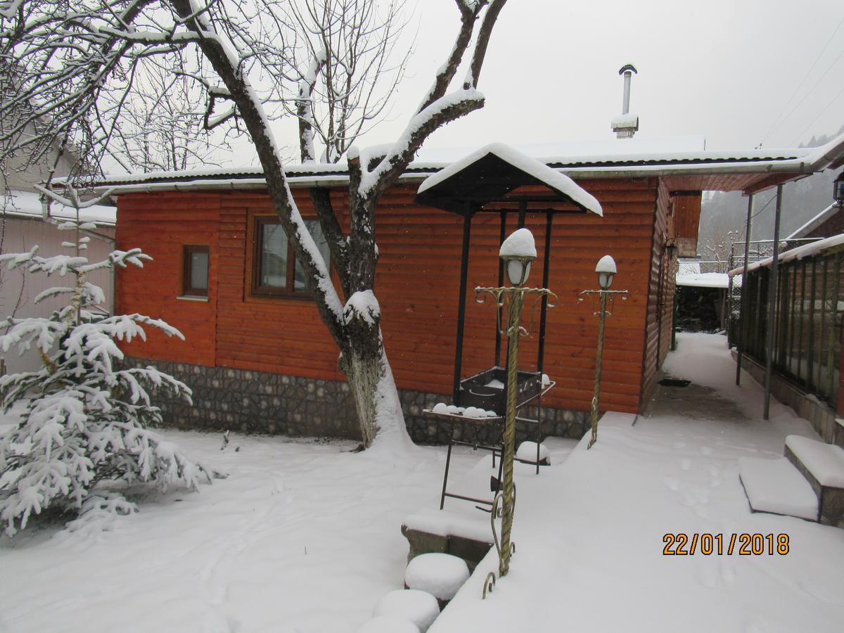 Kotiedzh u Mariny Villa Yaremche Bagian luar foto