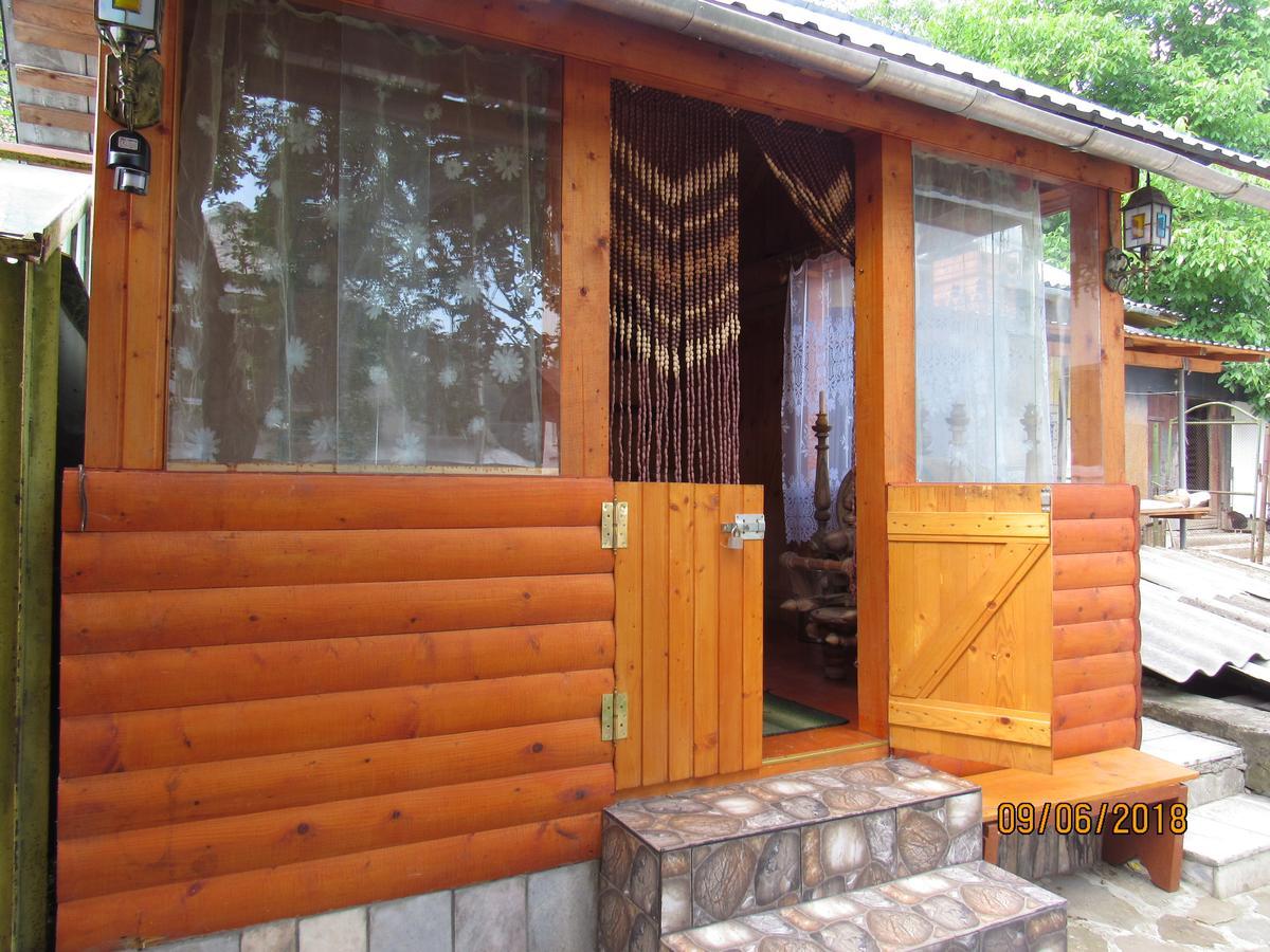 Kotiedzh u Mariny Villa Yaremche Bagian luar foto